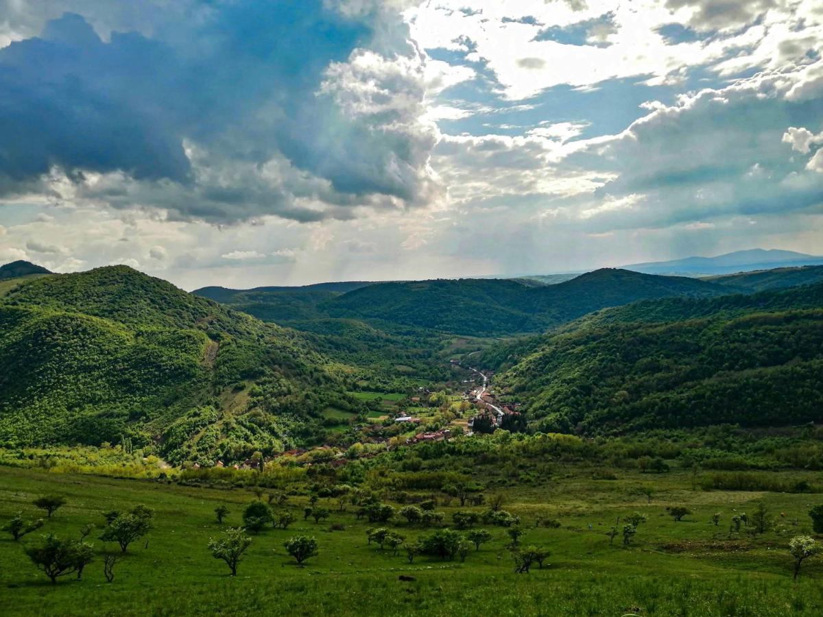 Вілла The Hunter House Ciudanovita Екстер'єр фото