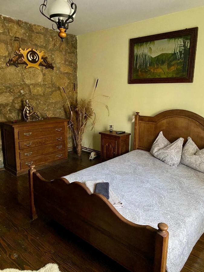 Вілла The Hunter House Ciudanovita Екстер'єр фото